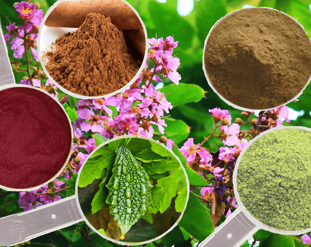 Gluco Extend Ingredients